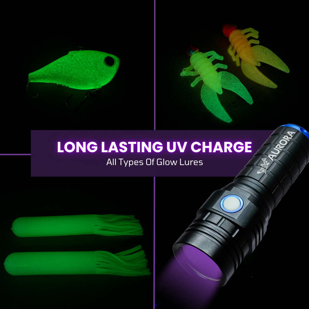 Large UV Flashlight