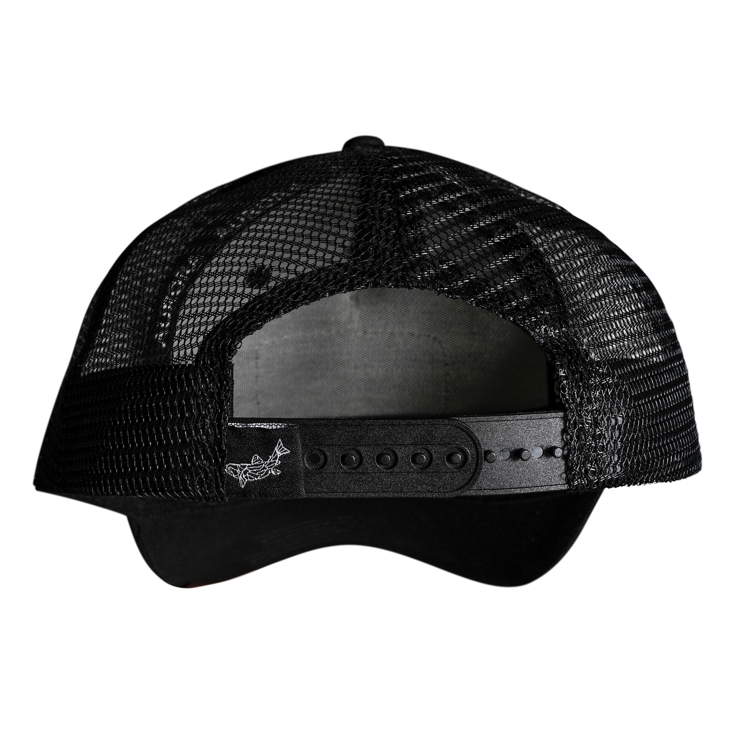 Aurora Patch Hat