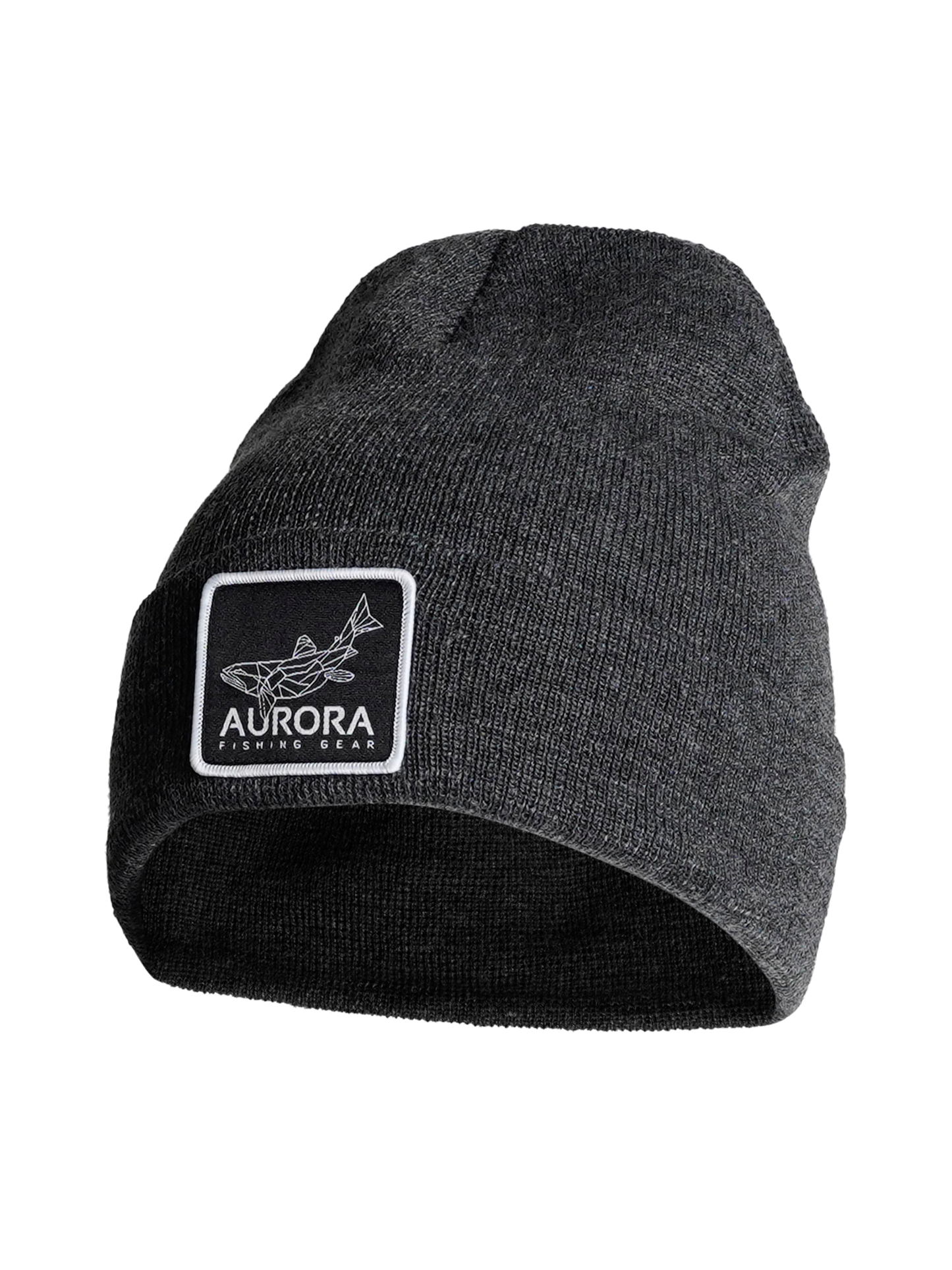 Aurora Logo Patch Beanie