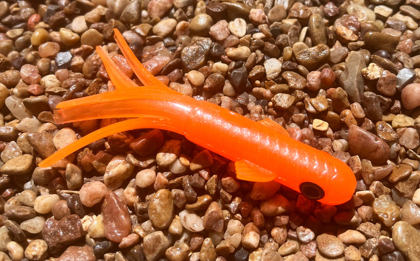 3.5" Trophy Chaser