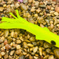 Chartreuse Glow