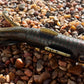 5" Trophy Chaser