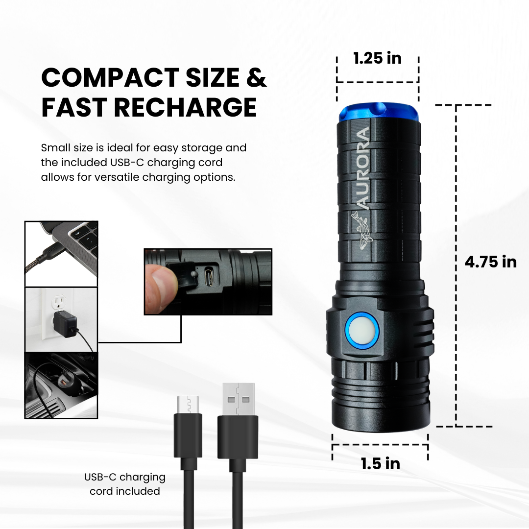 large black light flashlight Large UV Flashlight