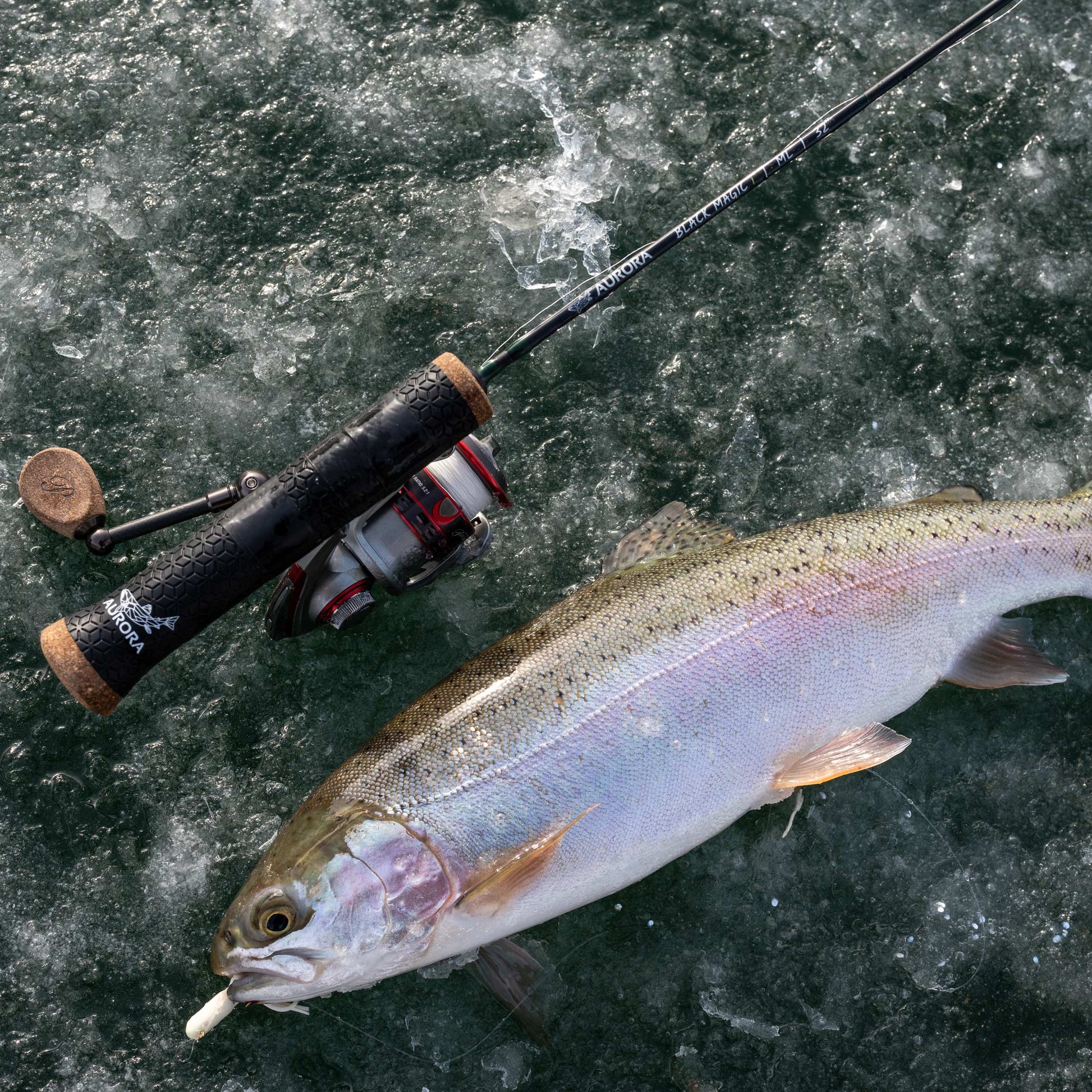 black magic fishing pole Black Magic i Ice Rod