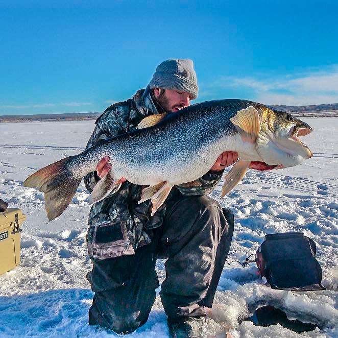 Laker Ice Rod  Aurora Fishing Gear